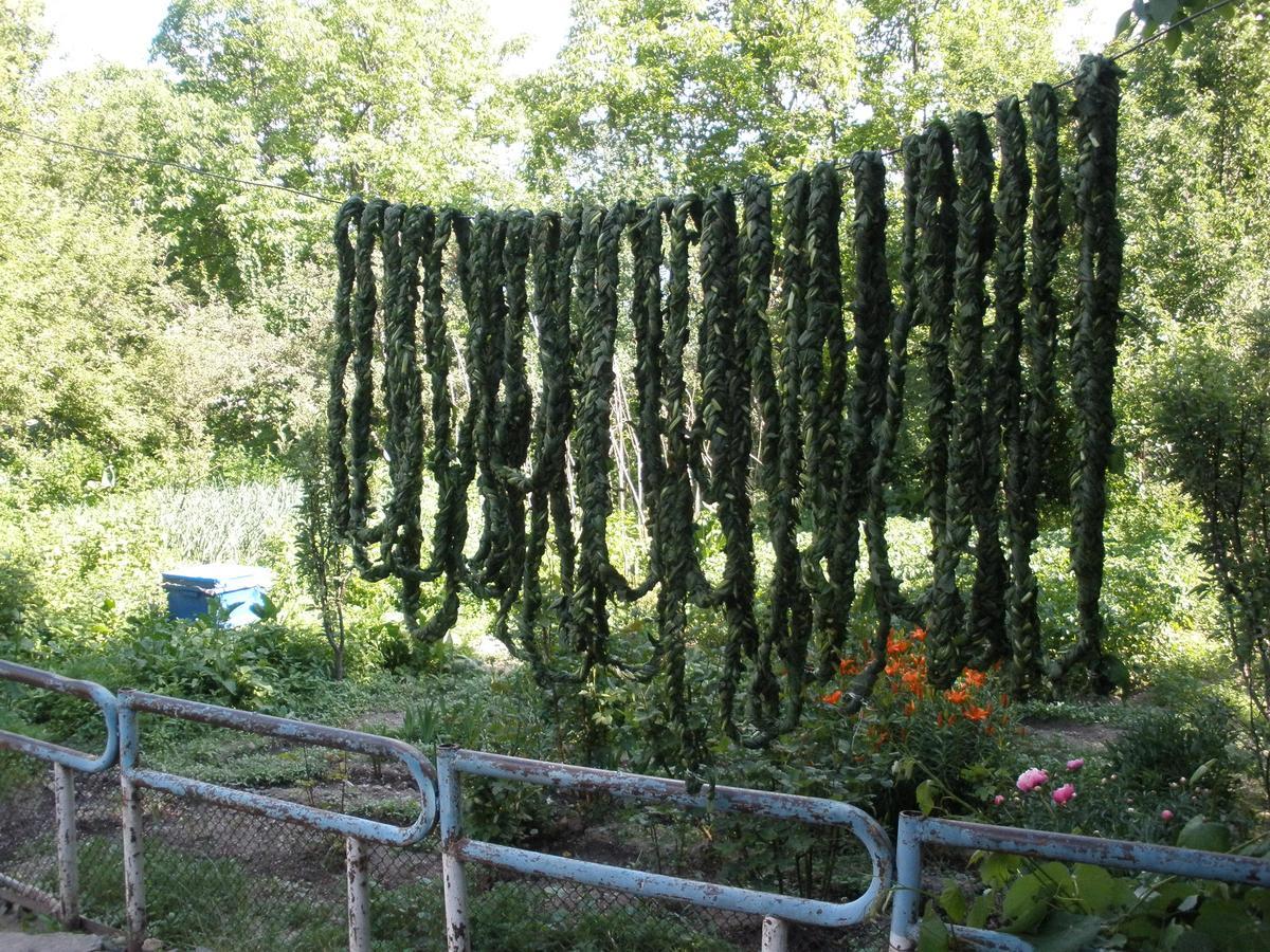 Bed and Breakfast Ave Zara Vagudy Zewnętrze zdjęcie
